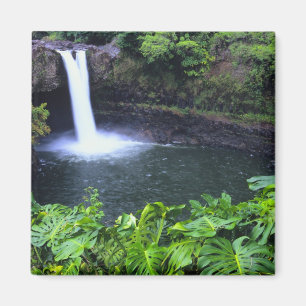 Hawaii, Big Island, Hilo, Rainbow Falls, Weelderig Magneet
