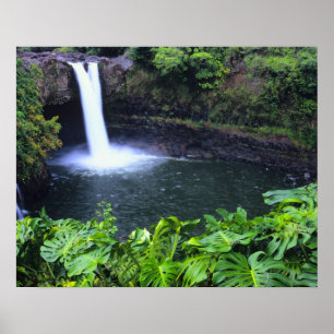 Hawaii, Big Island, Hilo, Rainbow Falls, Weelderig Poster