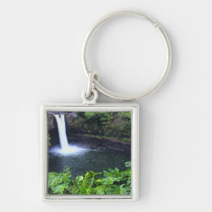 Hawaii, Big Island, Hilo, Rainbow Falls, Weelderig Sleutelhanger