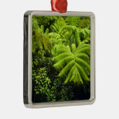 Hawaii, Big Island, Lush tropische groen in 2 Metalen Ornament (Rechts)