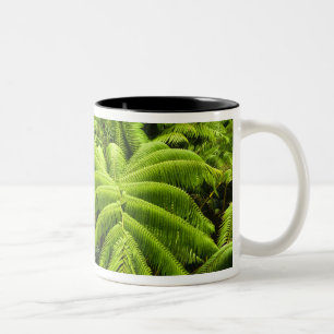 Hawaii, Big Island, Weelderig tropisch groen in 2 Tweekleurige Koffiemok