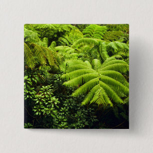 Hawaii, Big Island, Weelderig tropisch groen in 2 Vierkante Button 5,1 Cm