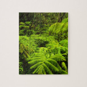 Hawaii, Big Island, Weelderig tropisch groen in Legpuzzel
