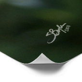 Hawaii botanica 9b poster (Hoek)