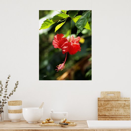 Hawaii botanica 9b poster (Keuken)