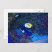 Hawaii Briefkaart (Voorkant / Achterkant)