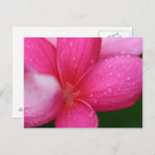 Hawaii Briefkaart (Voorkant / Achterkant)