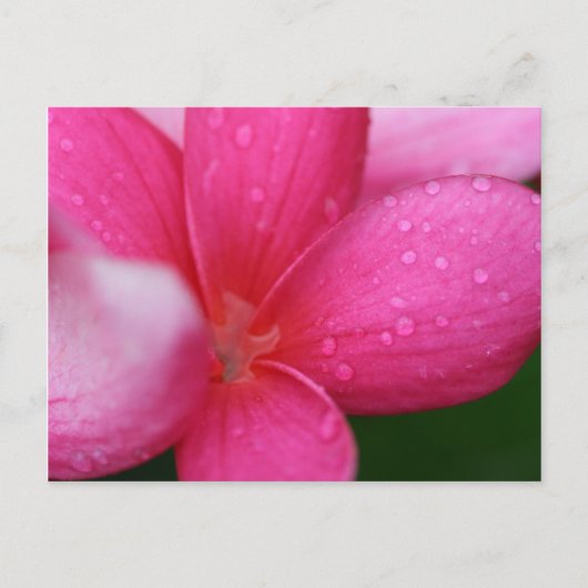 Hawaii Briefkaart (Voorkant)