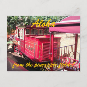 Hawaii Briefkaart ananasseltrein