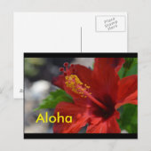 Hawaii Briefkaarten (Voorkant / Achterkant)