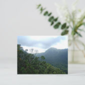 Hawaii Carte Postale Scène1 (Debout devant)