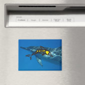 Hawaii Dolphin Islands Magneet (Insitu (Vaatwasser))
