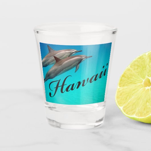 Hawaii Dolphin Shot glass Shot Glas (Voorkant)