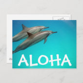 Hawaii Dolphins Post Card Briefkaart (Voorkant / Achterkant)