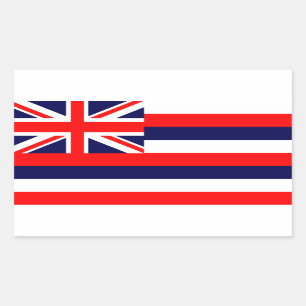Hawaii Flag Rechthoekige Sticker