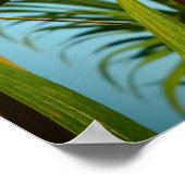 Hawaii gekko palmboom poster (Hoek)