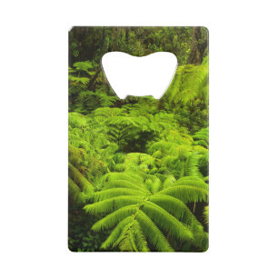 Hawaii, Grande Ile, Verdure tropicale luxuriante à