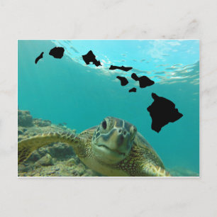 Hawaii Green Zee Turtle Briefkaart