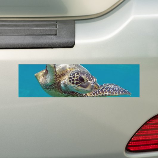 Hawaii Green Zee Turtle - Honu Bumpersticker (Op auto)