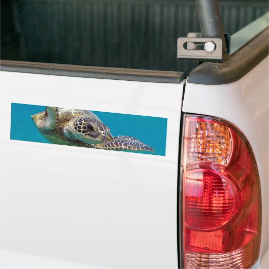 Hawaii Green Zee Turtle - Honu Bumpersticker (Op Truck)