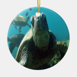 Hawaii Green Zee Turtle Keramisch Ornament