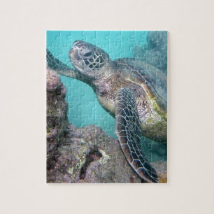 Hawaii Green Zee Turtle Legpuzzel
