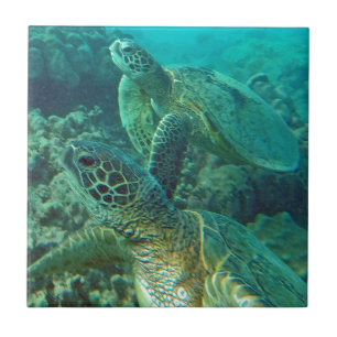 Hawaii Green Zee Turtles Tegeltje