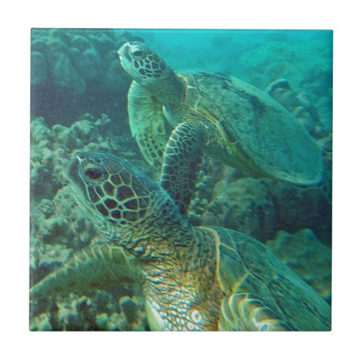 Hawaii Green Zee Turtles Tegeltje (Voorkant)