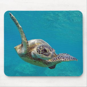 Hawaii Groene Zeeen Schildpad - Honu Muismat