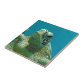 Hawaii Groene Zeeen Schildpad - Honu Tegeltje (Zijkant)