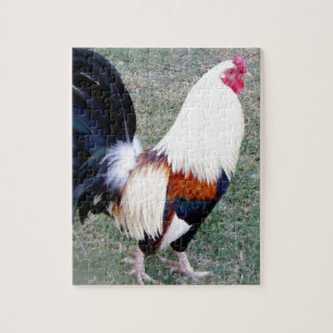 Hawaii Hanauma Bay Rooster Legpuzzel
