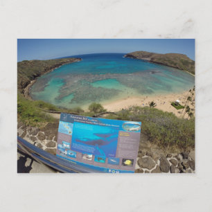 Hawaii Hanauma Bay Volcano Briefkaart