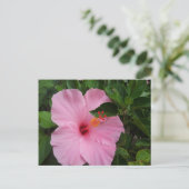 Hawaii Hibiscus Flower Briefkaart (Staand voorkant)