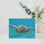 Hawaii Honu Briefkaart (Staand voorkant)