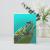 Hawaii Honu Briefkaart (Staand voorkant)