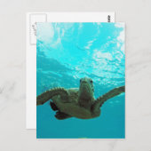 Hawaii Honu Turtle Briefkaart (Voorkant / Achterkant)