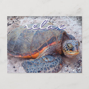 Hawaii honu zee schildpad close-up foto Relax quot Briefkaart