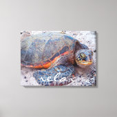 Hawaii Honu Zee Turtle Beach Close-up Foto Relax Canvas Afdruk (Voorkant)