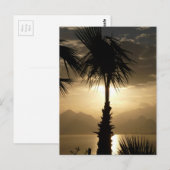 Hawaii Island Travel Beach Sunset Palmbomen Briefkaart (Voorkant / Achterkant)