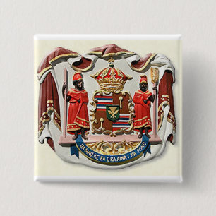 Hawaii jas wapenzegel vierkante button 5,1 cm