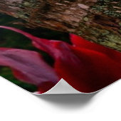 Hawaii "Kleding optioneel"-teken Poster (Hoek)