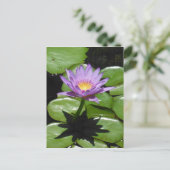 Hawaii Lotus Flower Briefkaart (Staand voorkant)