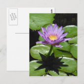 Hawaii Lotus Flower Briefkaart (Voorkant / Achterkant)