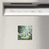 Hawaii magnet magneet (Insitu (Vaatwasser))