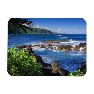 Hawaii Magnet Magneet