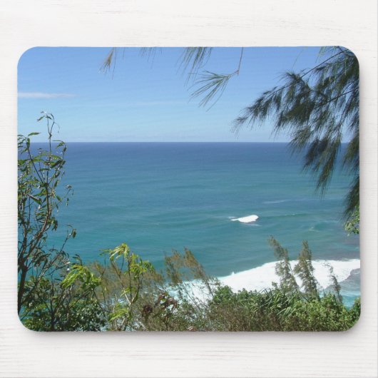 Hawaii Muismat (Voorkant)