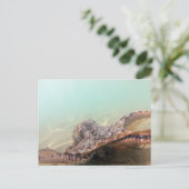 Hawaii Octopus Briefkaart (Staand voorkant)