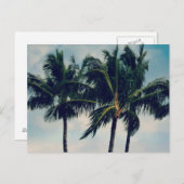 Hawaii Palm Trees Briefkaart (Voorkant / Achterkant)