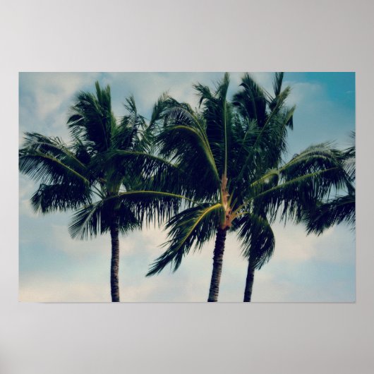 Hawaii Palm Trees Poster (Voorkant)