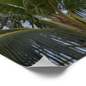 Hawaii Palm Trees Poster (Hoek)